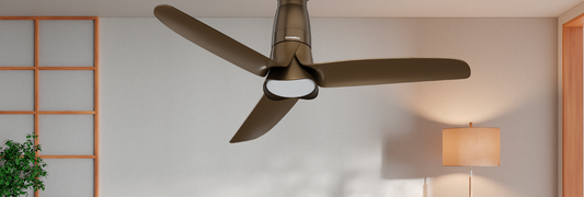 Exploring The Advantages of BLDC Motor
