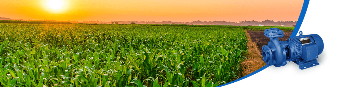 जानिए एनर्जी एफिशिएंट पंप्स के बारे में