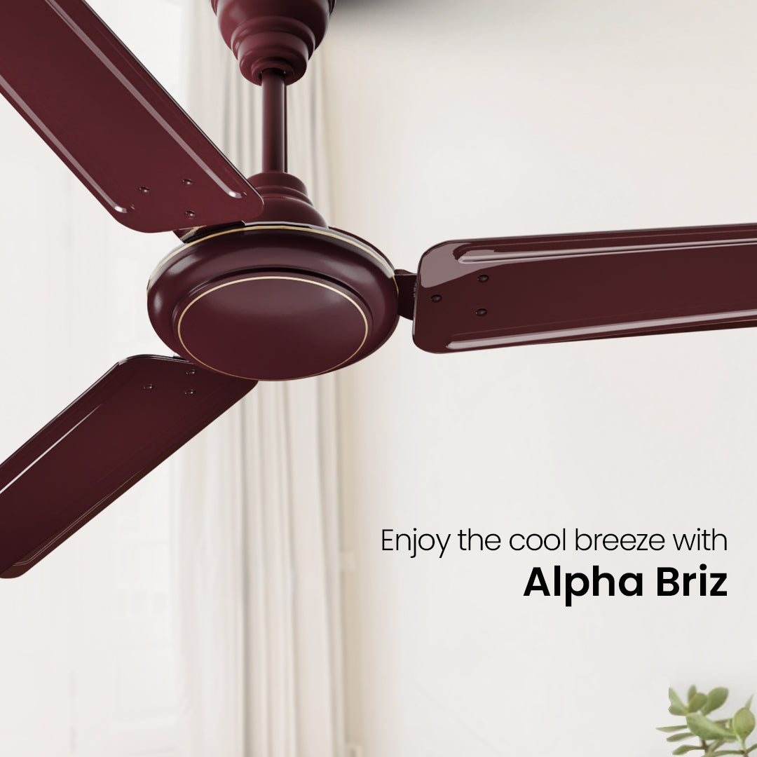 Crompton Surebreeze Alphabriz |Star Ceiling Fan Crompton Surebreeze Alphabriz |Star Ceiling Fan