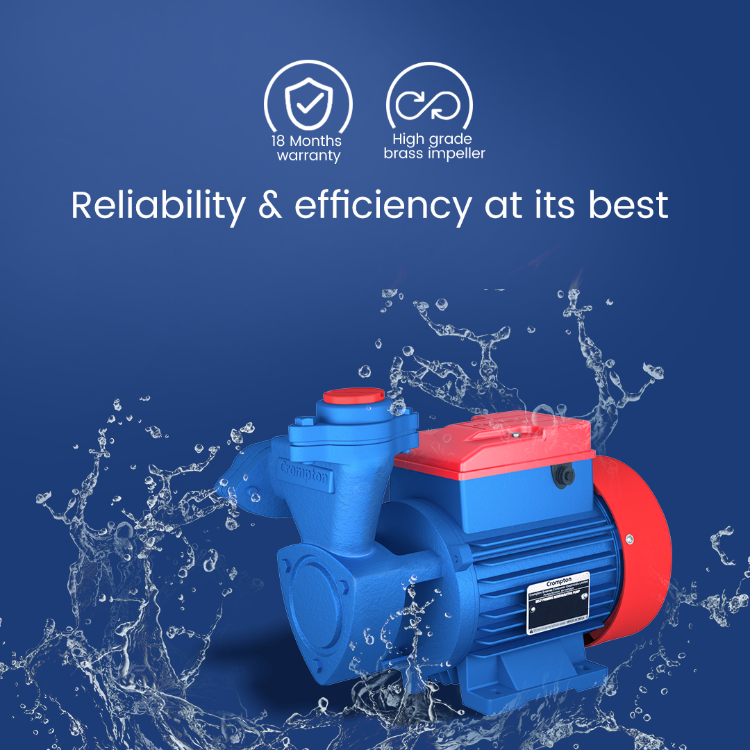MINI MASTER II - Mini Self Priming Regenerative Pump 0.5 HP MINI MASTER II - Mini Self Priming Regenerative Pump 0.5 HP