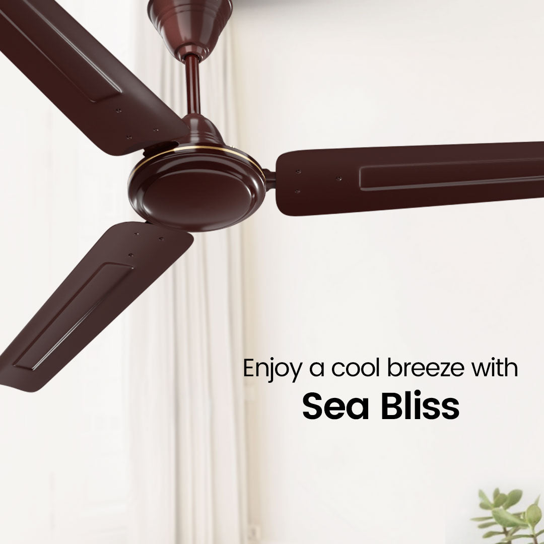 Crompton Surebreeze Sea Bliss | Star Rated Ceiling Fan Crompton Surebreeze Sea Bliss | Star Rated Ceiling Fan