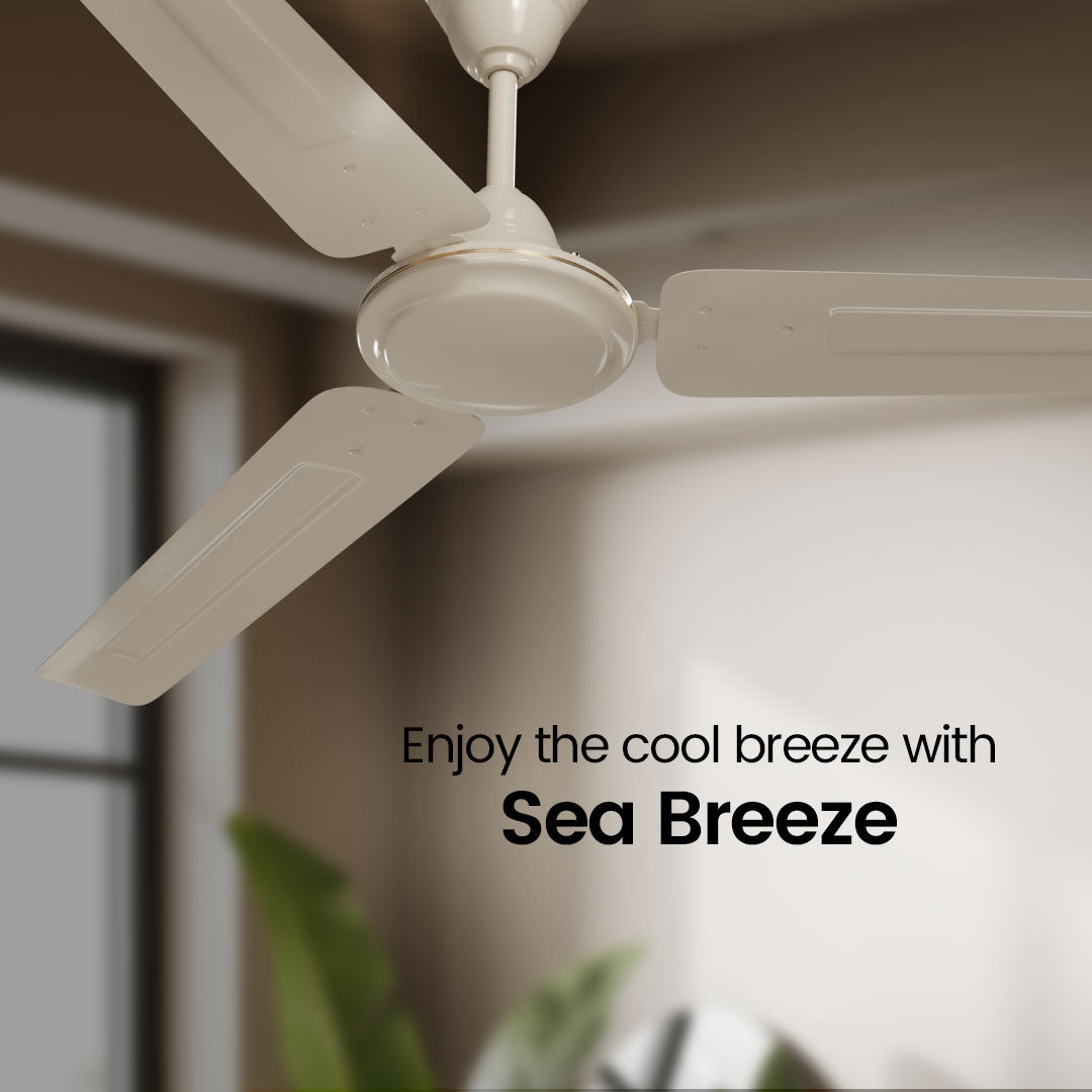 Crompton Surebreeze Sea Breeze | Star Rated Ceiling Fan Crompton Surebreeze Sea Breeze | Star Rated Ceiling Fan