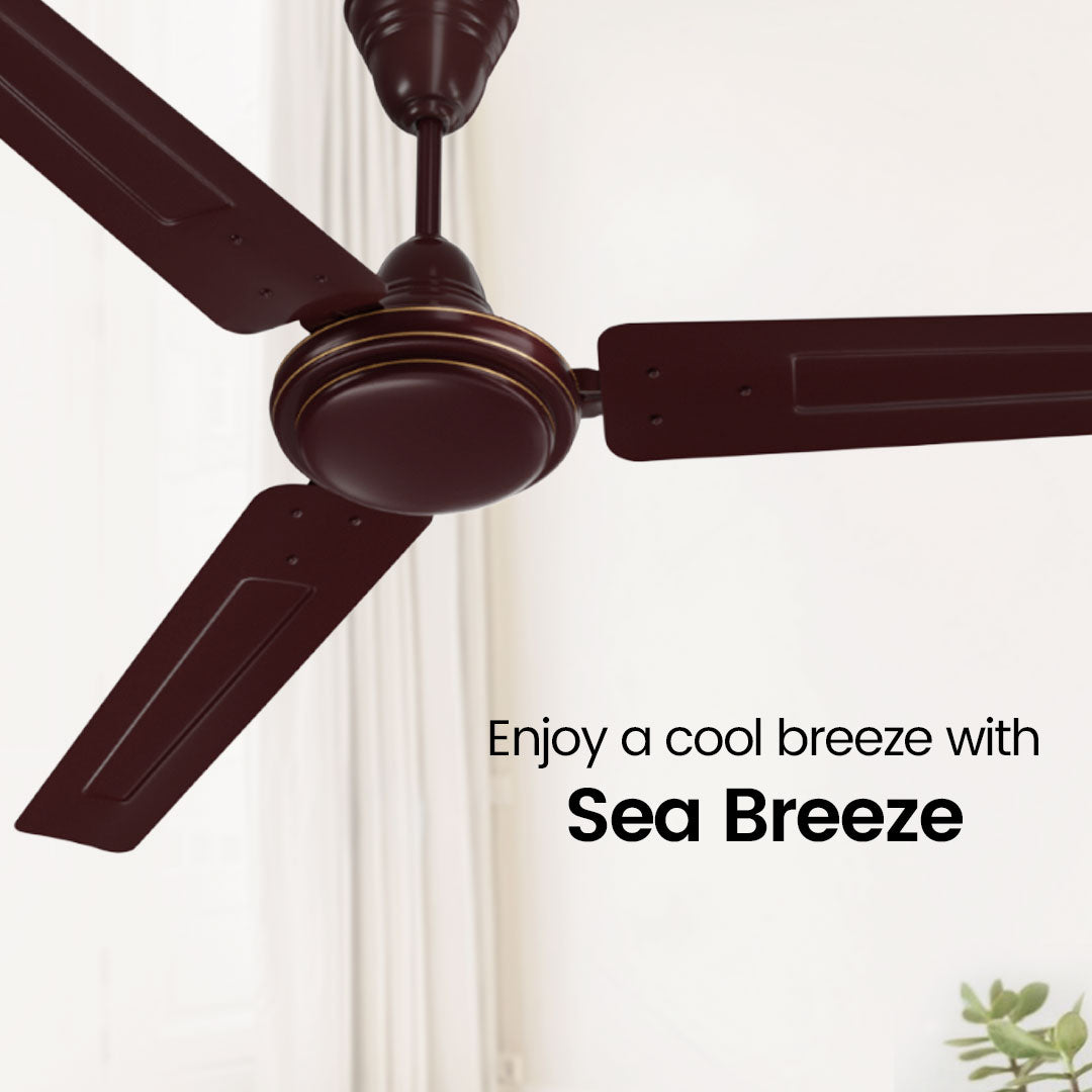 Crompton Surebreeze Sea Breeze | Star Rated Ceiling Fan Crompton Surebreeze Sea Breeze | Star Rated Ceiling Fan