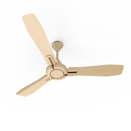 Crompton Highspeed Santos