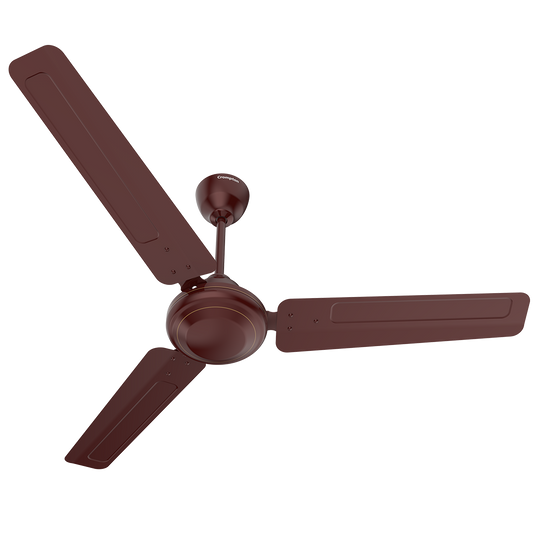 Crompton Surebreeze Starbriz| Ceiling Fan