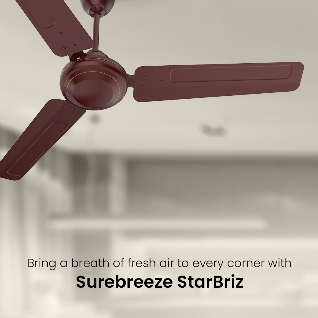 Crompton Surebreeze Starbriz| Ceiling Fan Crompton Surebreeze Starbriz| Ceiling Fan