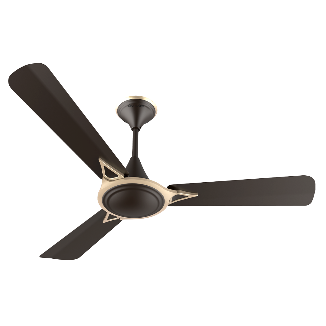 Crompton Premion Avancer Prime 1 Star Crompton Premion Avancer Prime 1 Star