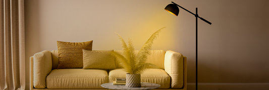 Warm White vs Cool White: Understanding the Key Differences