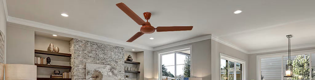 Difference Between BLDC Motor vs Induction Motor