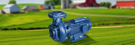 Understanding Cavitation in Centrifugal Pumps: Causes and Prevention
