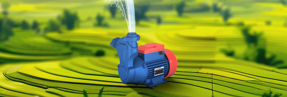 Breaking Down Centrifugal Pump: Exploring Key Components