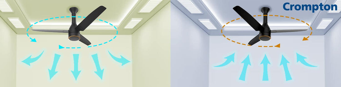 Ceiling Fan Direction for Summer and Winter