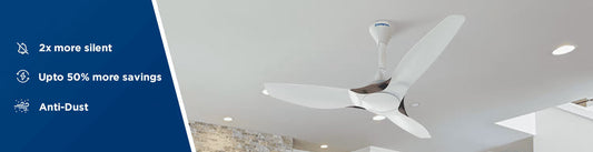 5 Essential Reasons Why You Need A Silent Fan In Your Home