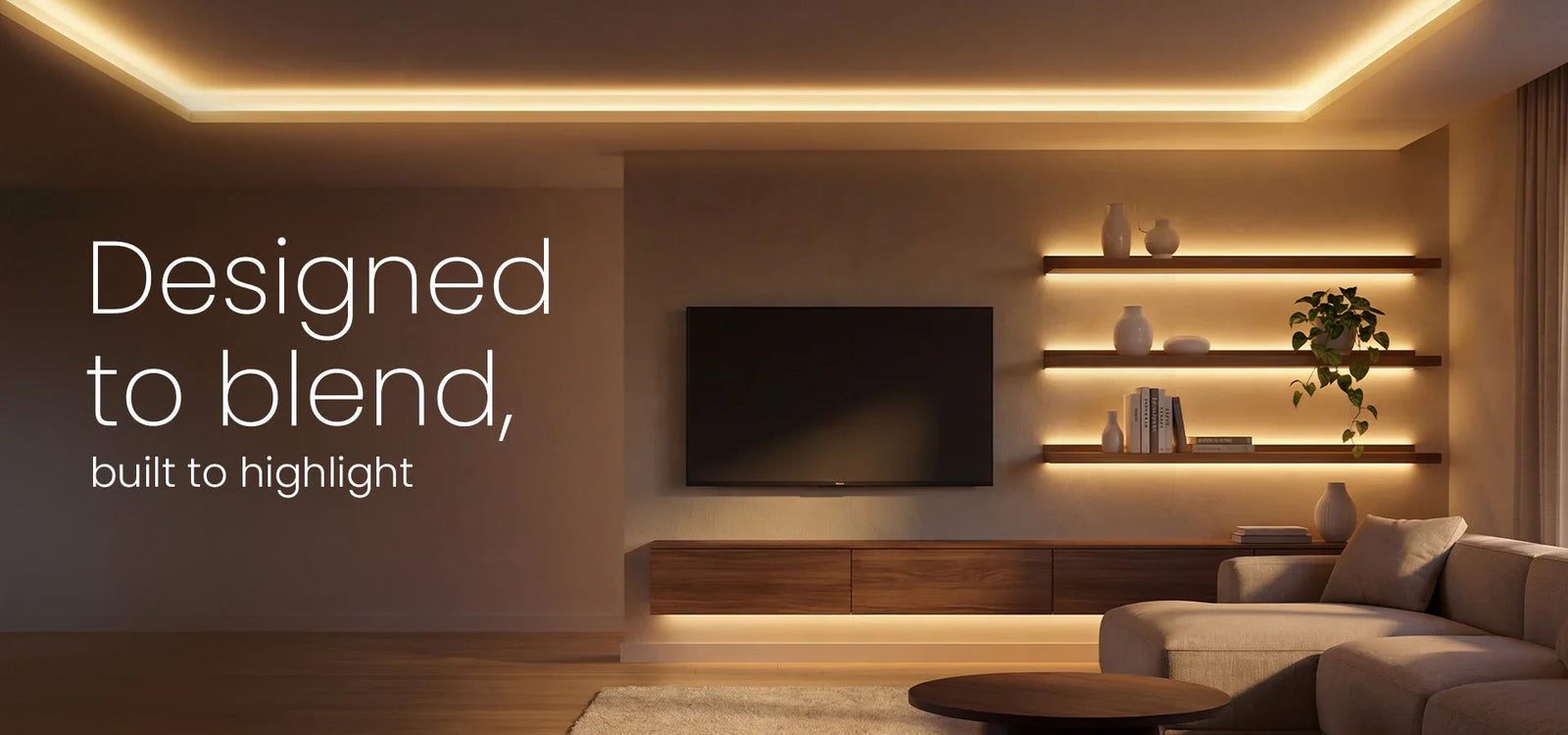 Rope and Strip Lights