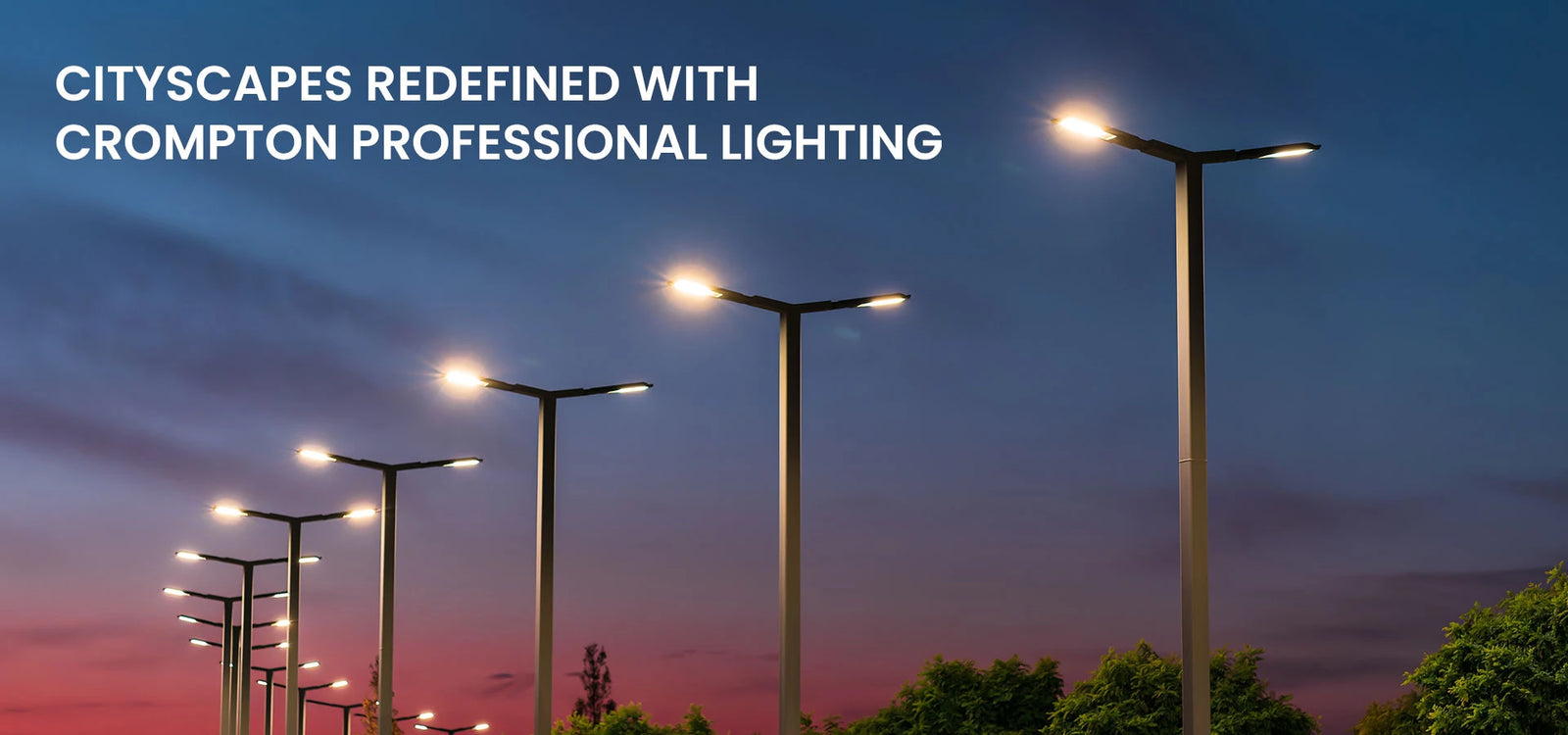 Professional Outdoor Lighting