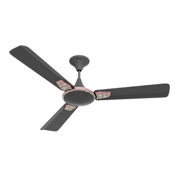 Crompton Premion Aura 2 Designer 1 Star