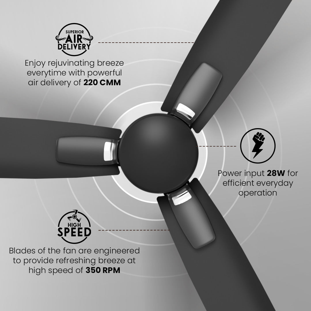 Crompton Energion Caelum 1200mm BLDC Ceiling Fan