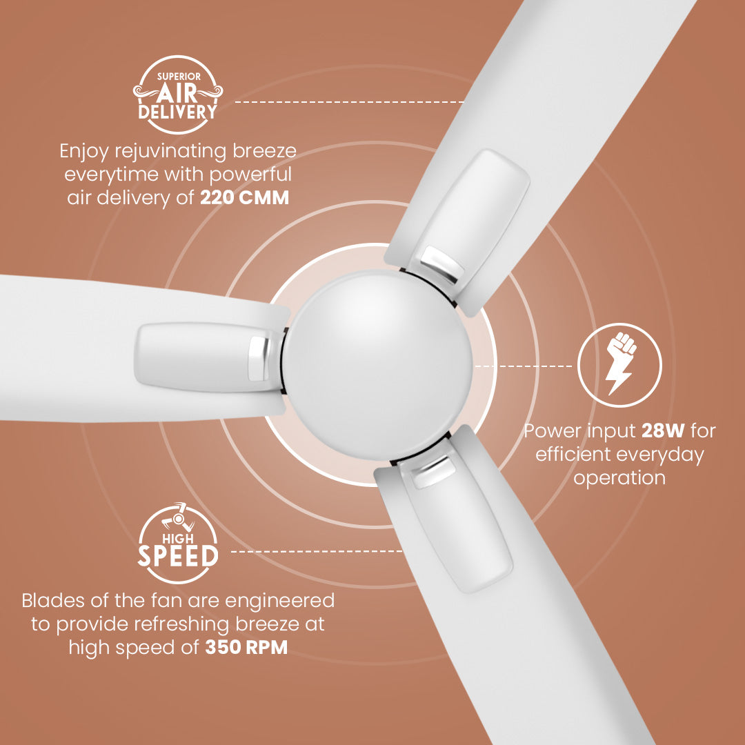 Crompton Energion Caelum 1200mm BLDC Ceiling Fan