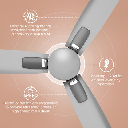 Crompton Energion Caelum 1200mm BLDC Ceiling Fan