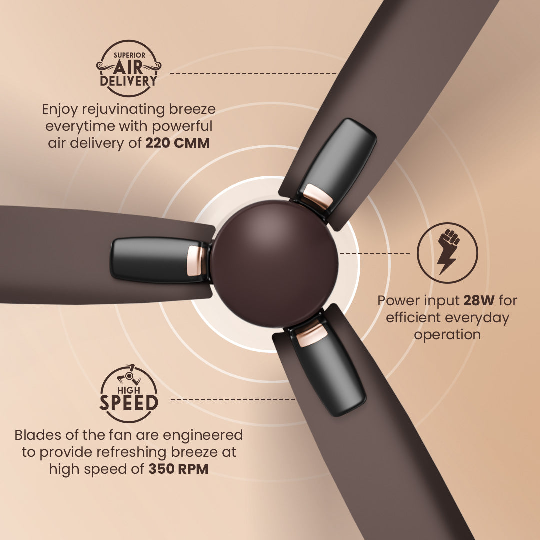 Crompton Energion Caelum 1200mm BLDC Ceiling Fan