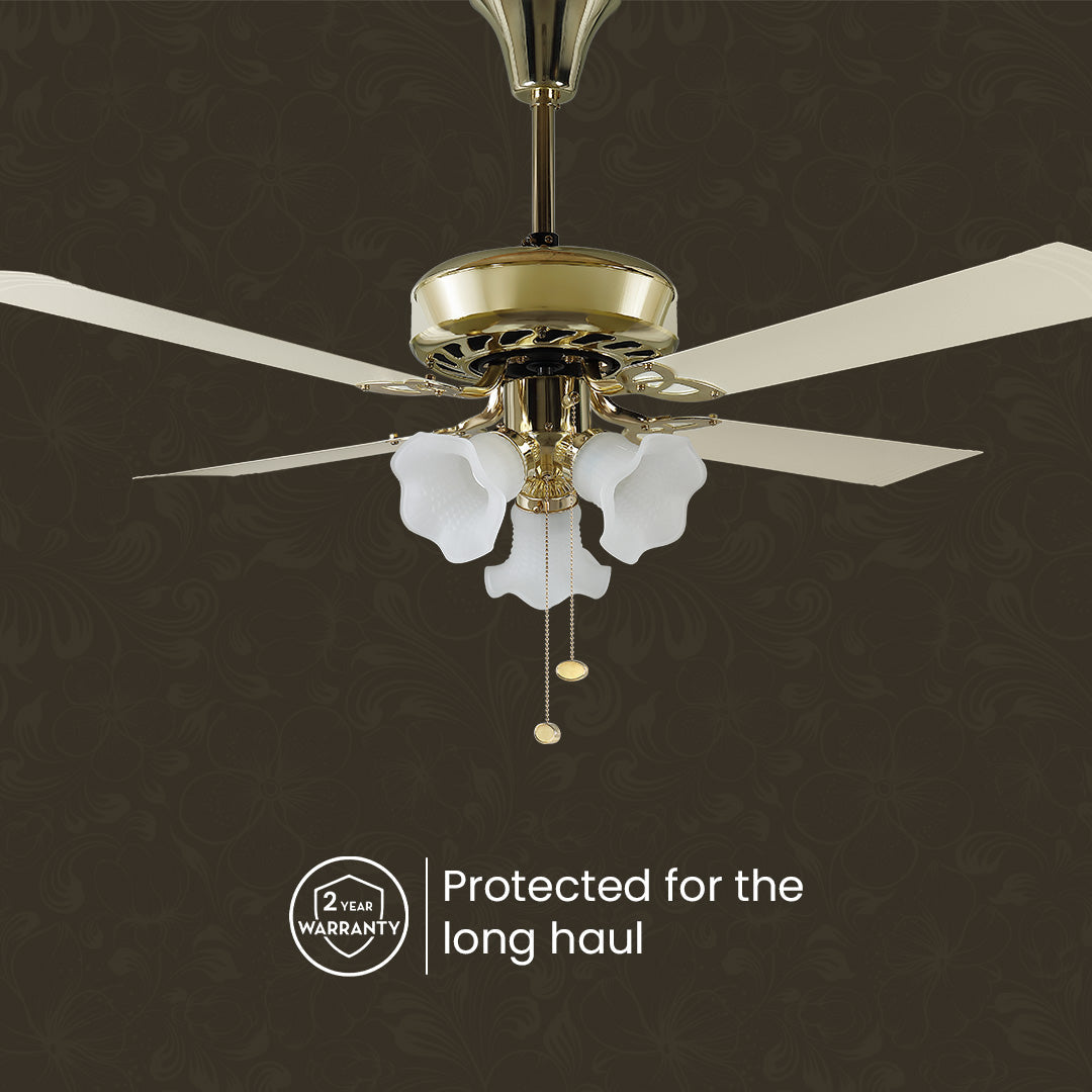 Crompton Luxian Uranus Chandelier Ceiling Fan_7