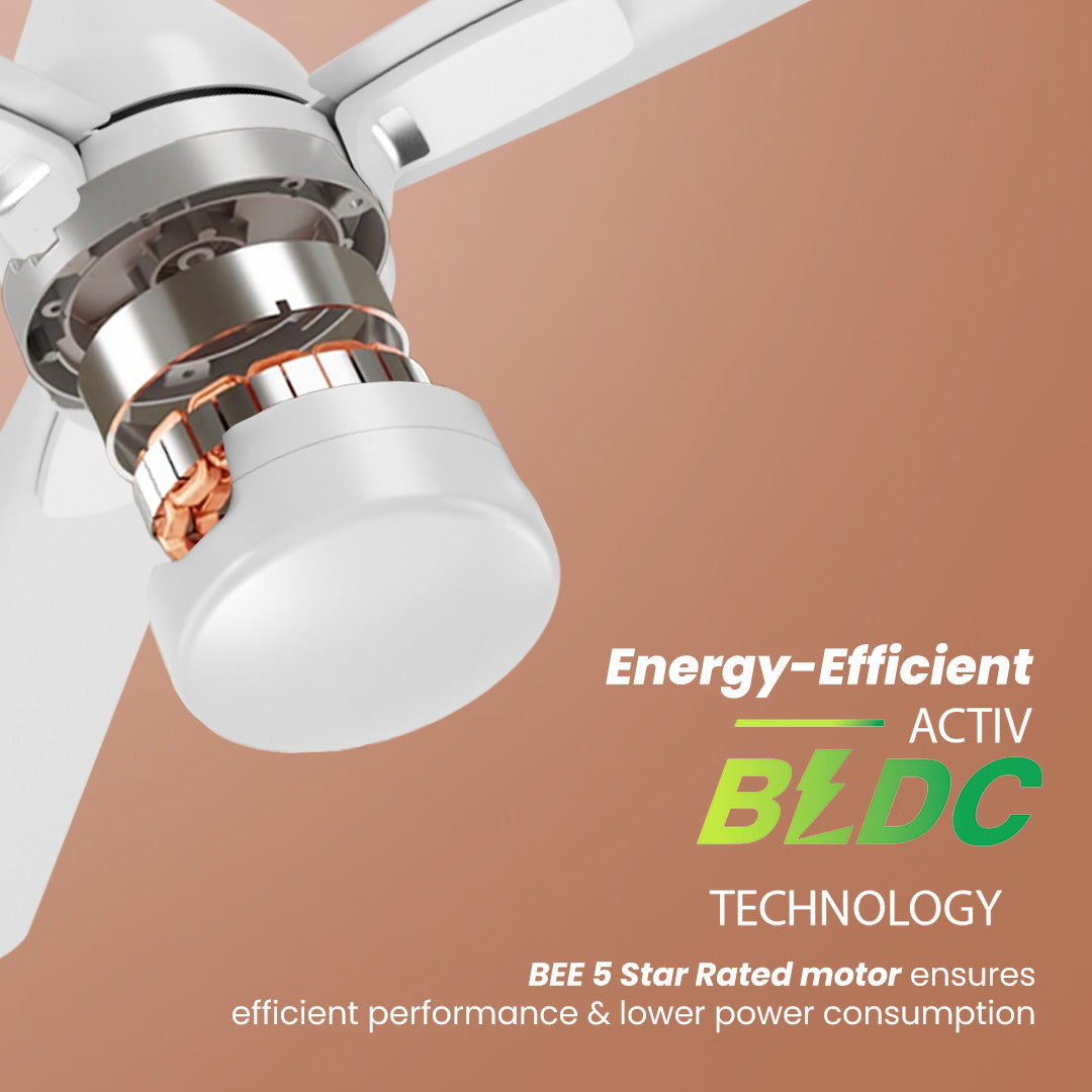 Crompton Energion Caelum 1200mm BLDC Ceiling Fan