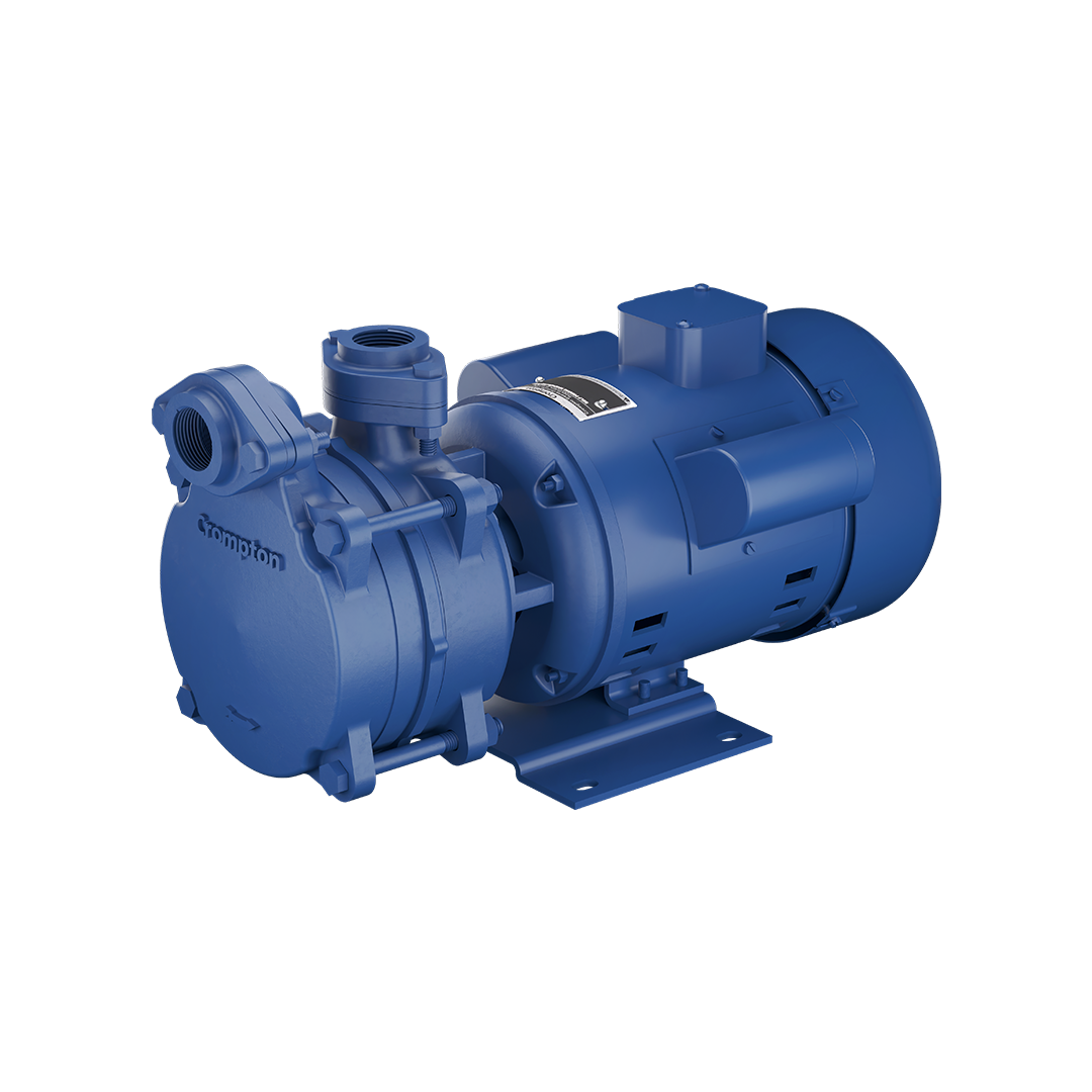 DMB10D PLUS - High Suction Regenerative Pump 1 HP