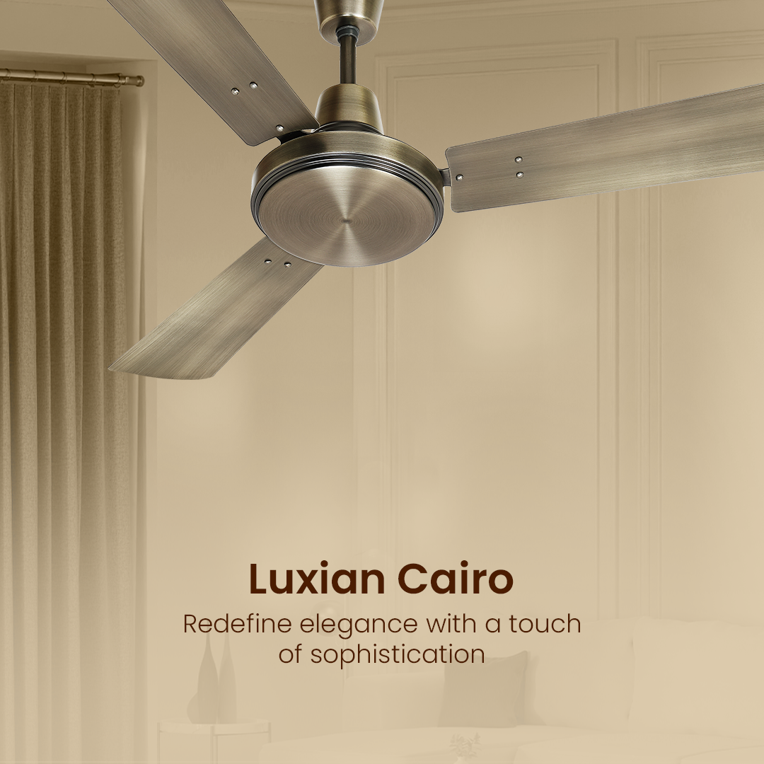 Crompton Luxian Cairo | Designer Ceiling Fan