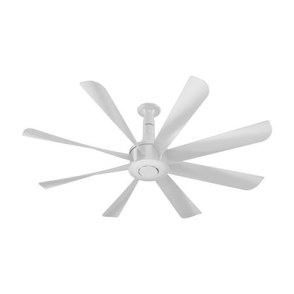 Crompton Luxian Statement Senze Ceiling Fan