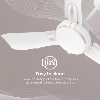 Crompton Premion Festo| Ceiling Fan