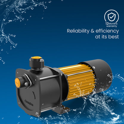 SWJ1 - High Suction Shallow well Pump 1 HP