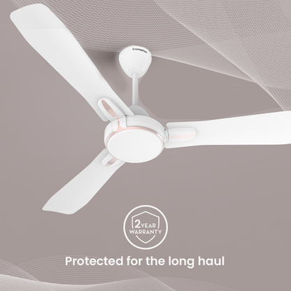 Crompton Premion Festo| Ceiling Fan