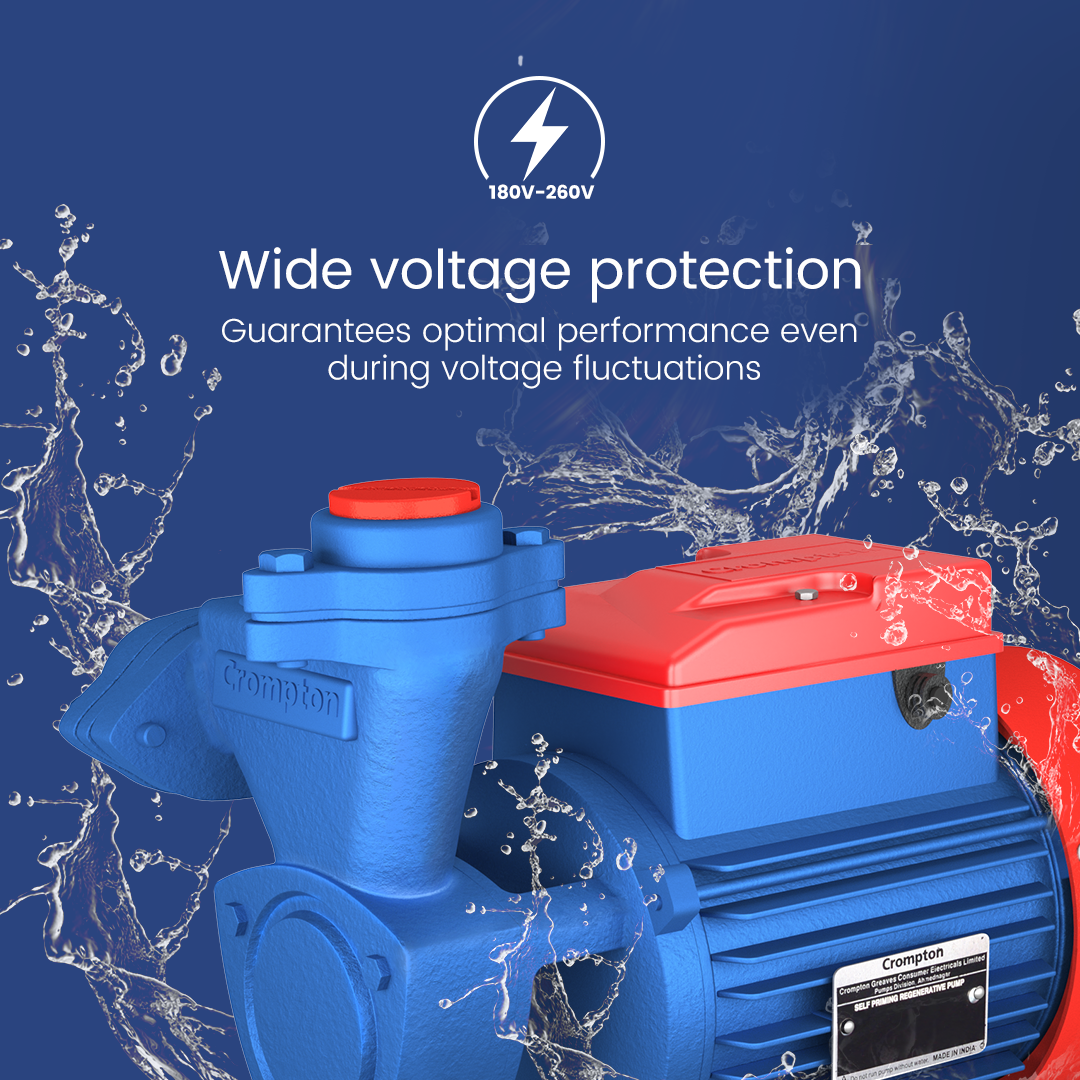 MINI MASTER II - Mini Self Priming Regenerative Pump 0.5 HP