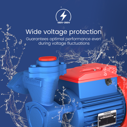 MINI MASTER II - Mini Self Priming Regenerative Pump 0.5 HP