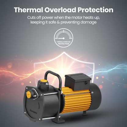 SWJ50AP-30 PLUS - High Suction Shallow well Pump 0.5 HP