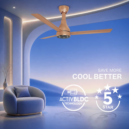 Crompton Energion Niteo Pro BLDC Ceiling Fan