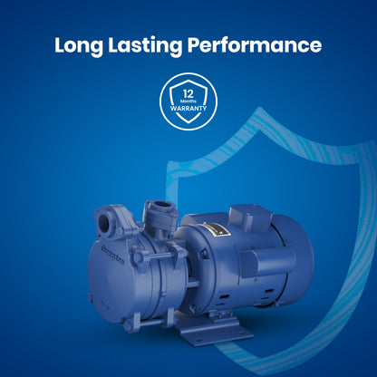 DMB10D PLUS - High Suction Regenerative Pump 1 HP