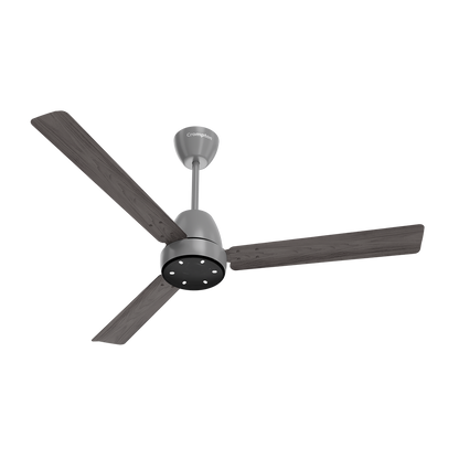 Crompton Energion NITEO BLDC Ceiling Fan