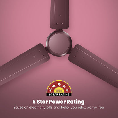 Crompton Energion Elevate 1200mm BLDC Ceiling Fan