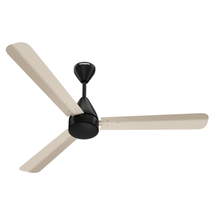 Crompton Energion Cookie BLDC Ceiling Fan
