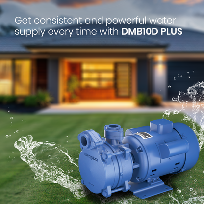 DMB10D PLUS - High Suction Regenerative Pump 1 HP