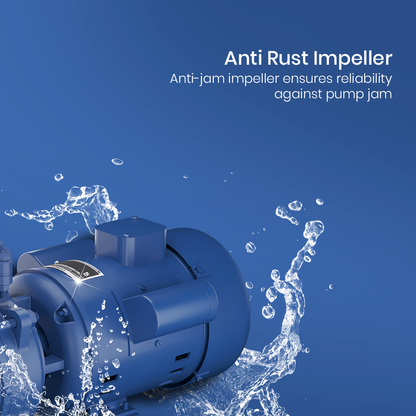 DMB10D PLUS - High Suction Regenerative Pump 1 HP