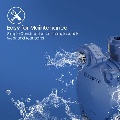 DMB10D PLUS - High Suction Regenerative Pump 1 HP