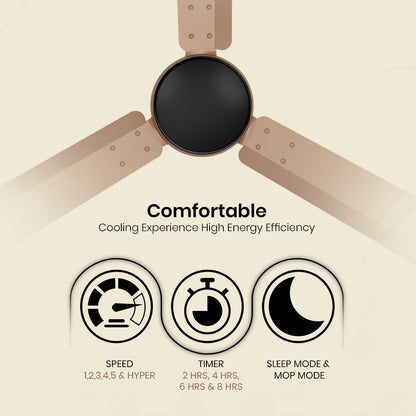 Crompton Energion Nucleoid BLDC Ceiling Fan