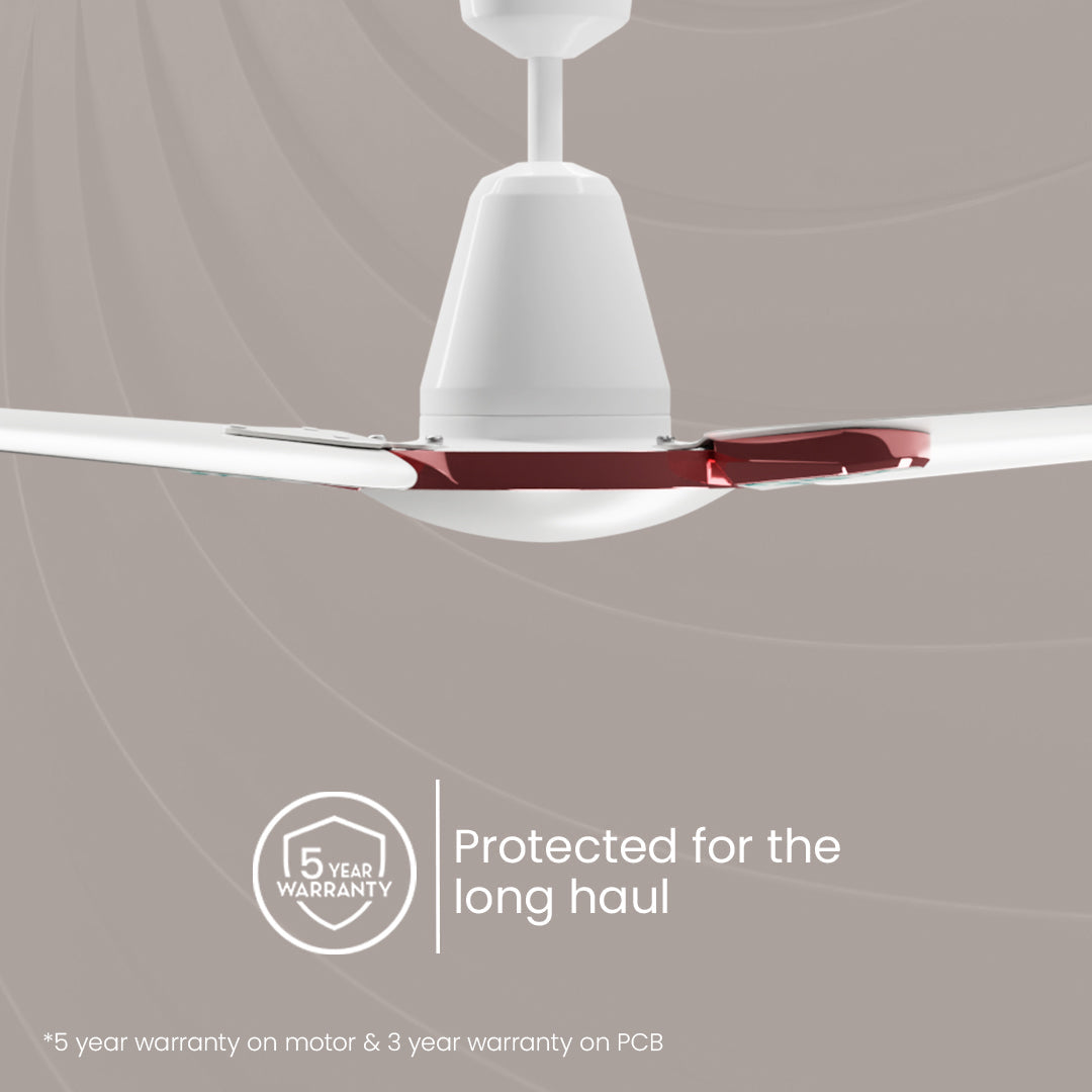 Crompton Energion Stylus BLDC Ceiling Fan
