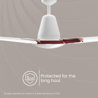 Crompton Energion Stylus BLDC Ceiling Fan