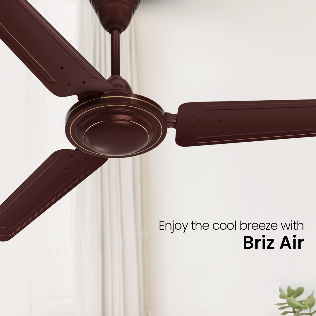 Crompton Surebreeze Brizair| Star Rated Ceiling Fan: Shop Crompton