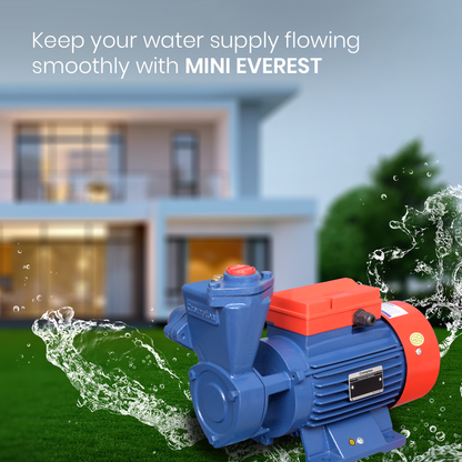 Mini Everest Mini Pump