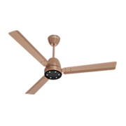 Ceiling Fans