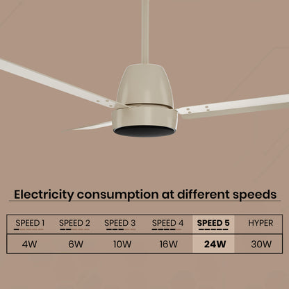 Crompton Energion Nucleoid BLDC Ceiling Fan